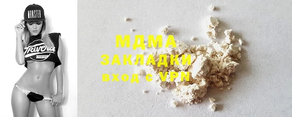 молекула духа Вяземский