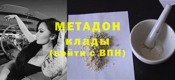 молекула духа Вяземский