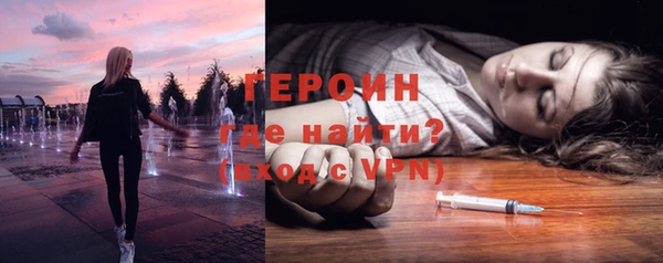 молекула духа Вяземский