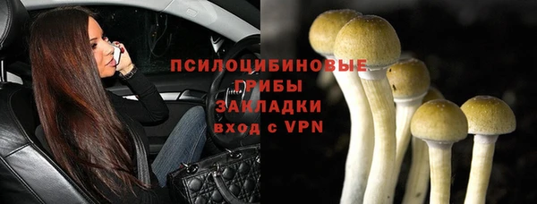 молекула духа Вяземский