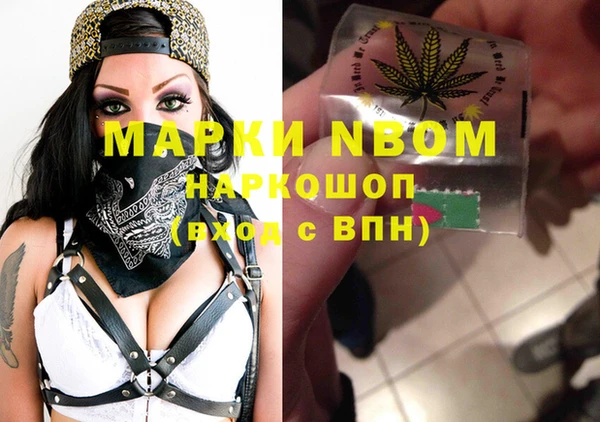 молекула духа Вяземский