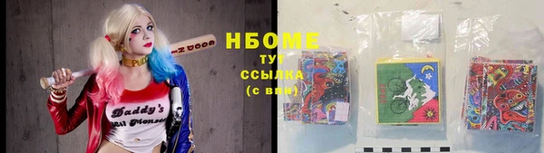 молекула духа Вяземский