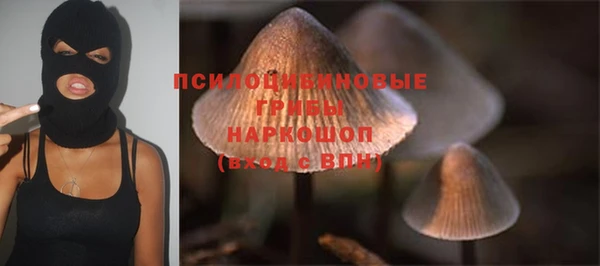 не бодяженный Гусь-Хрустальный
