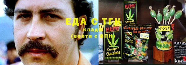 молекула духа Вяземский