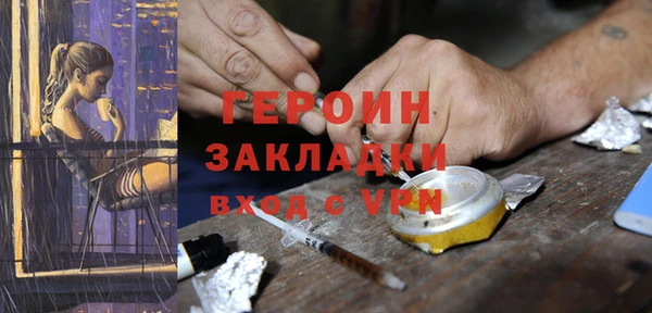 молекула духа Вяземский