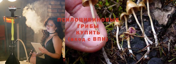 дживик Гусев