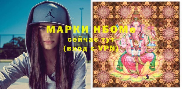 молекула духа Вяземский