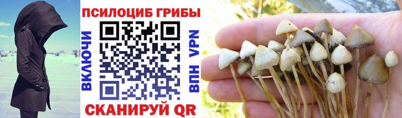 Галлюциногенные грибы MAGIC MUSHROOMS  Енисейск 